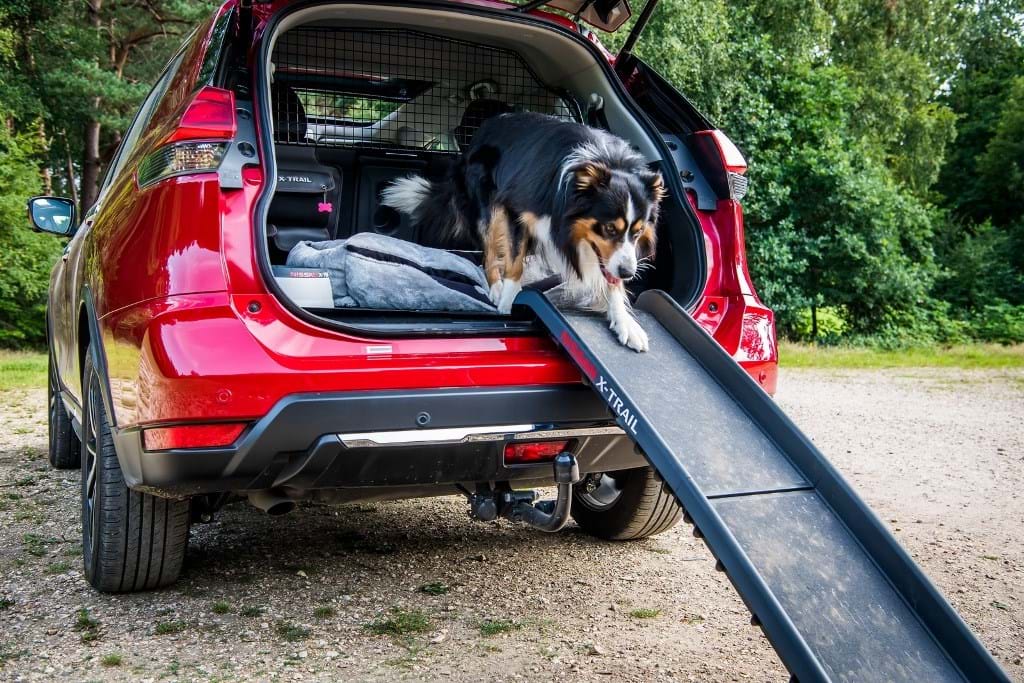  Nissan lanza “pack” para el X-Trail dedicado a los perros
