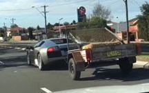 O Lamborghini das cabras!