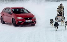 Quem é mais rápido: um SEAT com 300 cv ou um trenó com seis huskies?