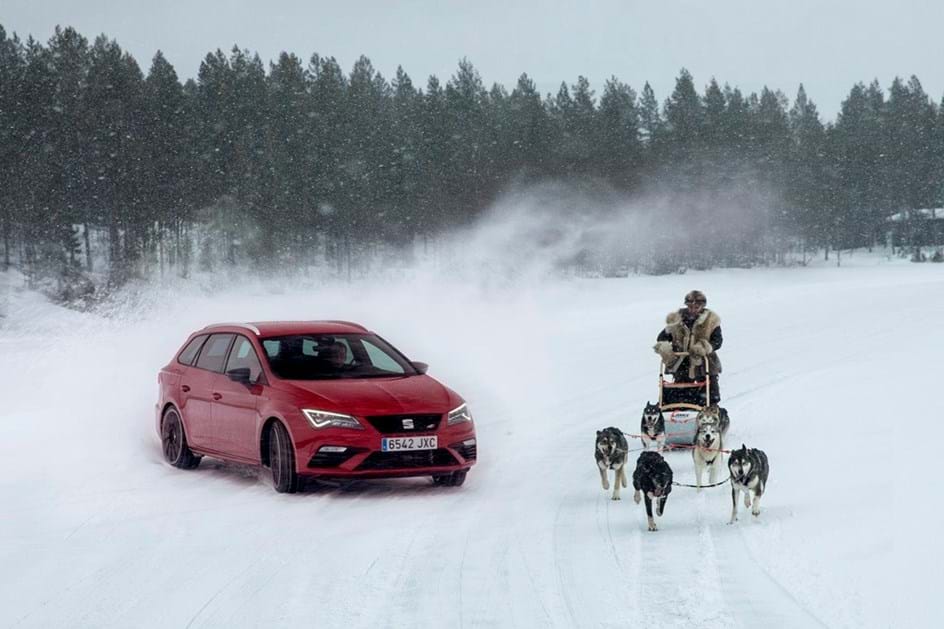 Quem é mais rápido: um SEAT com 300 cv ou um trenó com seis huskies?