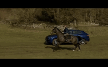 Maserati Levante desafia um cavalo de corridas