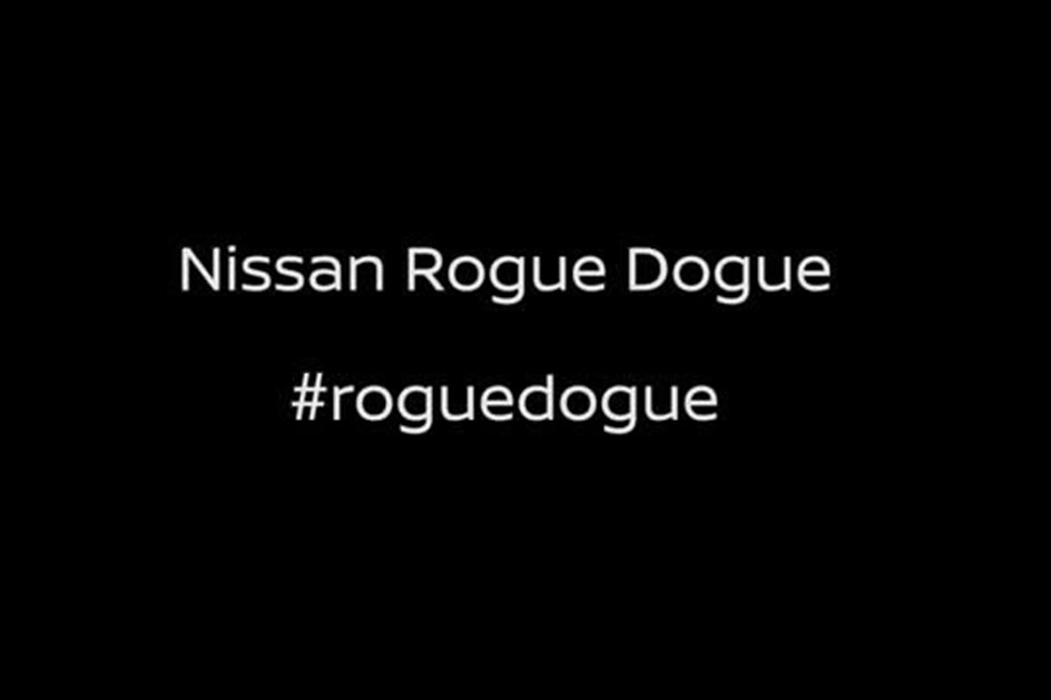 Nissan Rogue Dogue concept é o melhor amigo dos cães