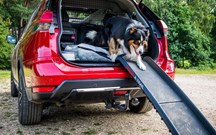 Nissan lança “pack” para o X-Trail dedicado aos cães