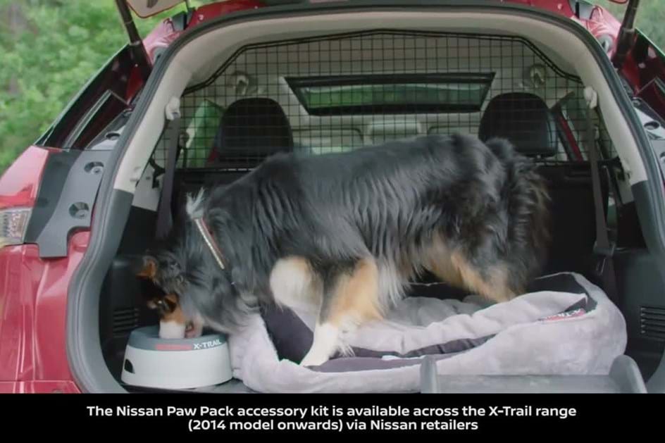 Nissan lança “pack” dedicado aos cães para o X-Trail