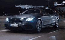 As melhores dicas para ir de férias e levar o seu cão... em segurança!