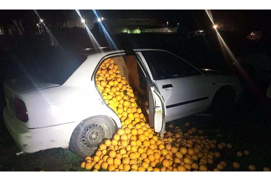 Roubam quatro toneladas de laranjas em dois carros e uma carrinha!