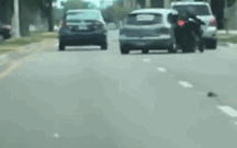 Discussão de estrada acaba com condutor a mandar abaixo um motociclista