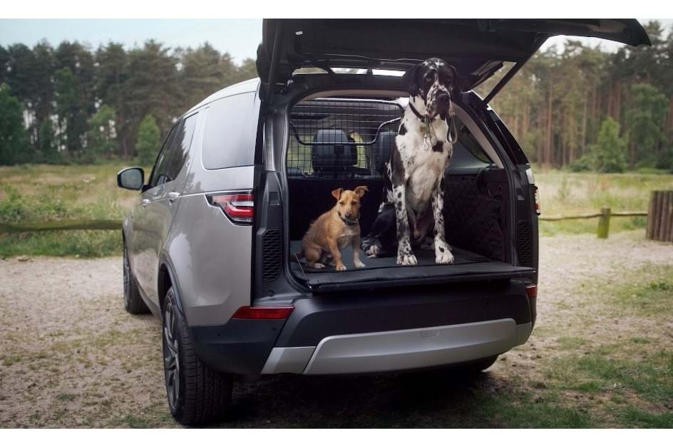Não deixe o seu cão ver isto ou vai ter que comprar um Land Rover!