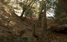 Piloto de drone dá espectáculo a filmar “drift” de Corvette de 1060 cv