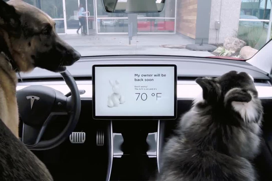 Veja como funciona o “Modo Cão” da Tesla