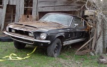 Shelby GT500 encontrado em celeiro abandonado vai a leilão
