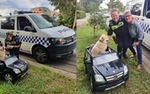 Cão a conduzir SUV Mercedes não escapou à Polícia australiana 