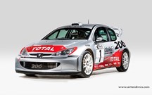 Tem 300 mil euros à mão? Peugeot 206 WRC de Marcus Grönholm está à venda!