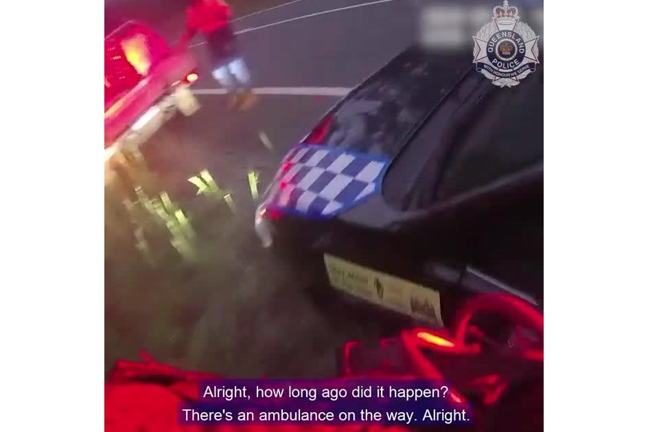 Australiano atacado ao volante por serpente venenosa parado por excesso de velocidade