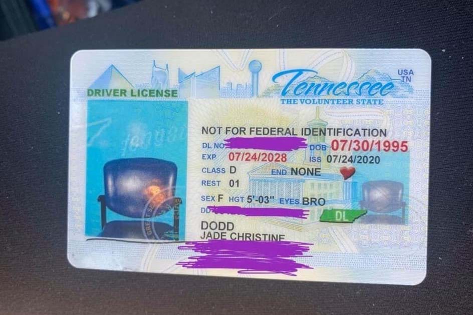 Condutora recebe carta de condução com fotografia de cadeira vazia