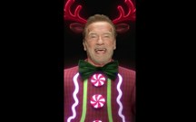 Schwarzenegger e Hasselhoff estreiam novo assistente vocal da BMW