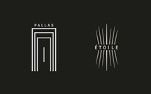 Pallas e Étoile: gama DS Automobiles reduzida a dois níveis de equipamento 