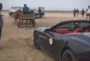 Ferrari California salvo da maré cheia… por um par de bois!