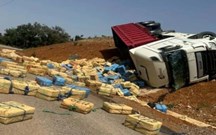 Camião capota e faz da estrada uma ''plantação'' de haxixe