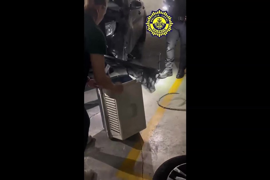 Condutor descobre maior cobra da Europa… no motor do carro!