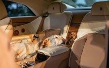 Rolls-Royce Spectre Bailey: ''eléctrico'' único para o ''patudo'' lá de casa