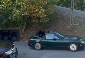 Natureza selvagem: urso devora capota de Mazda MX-5