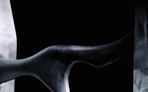 Emoção ao volante: Cupra estreia 'Own the Wheel'