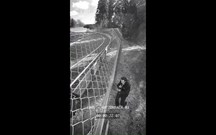 Opel Corsa GSE conclui ensaios dinâmicos em Nürburgring