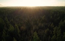Luxo sul-coreano: Genesis chega em 2027 a Portugal em modo eléctrico