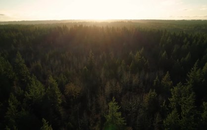 Luxo sul-coreano: Genesis chega em 2027 a Portugal em modo eléctrico